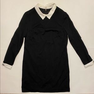 Cynthia Steffe Black Collared Dress (Size 10)